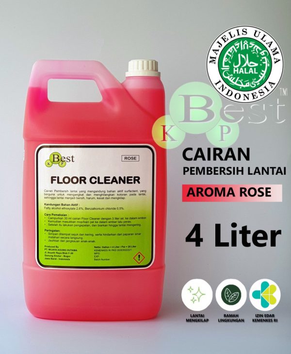 Floor Cleaner Best